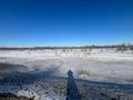 Жер телімі · 100 сотық, Мичуринский, бағасы: 100 млн ₸ в Мичуринское — фото 9