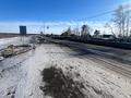 Жер телімі · 100 сотық, Мичуринский, бағасы: 100 млн ₸ в Мичуринское — фото 3