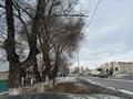 Отдельный дом · 8 комнат · 200 м² · 13 сот., Сатпаева 281 — Центральная улица за 50 млн ₸ в Шу — фото 29