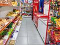 Жеке үй · 9 бөлме · 220 м² · 10 жүзд., Аксу-Аюлы 35 — Аксу-Аюлы—Зеренди, бағасы: 200 млн ₸ в Астане, Алматы р-н — фото 6