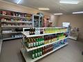 Жеке үй · 6 бөлме · 190 м² · 12 сот., Домалак Ана 3 — Магазин Акерке, бағасы: 39.5 млн ₸ в Жаркенте — фото 16