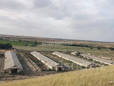 Продажа промбаз и заводов в Жетысу обл.: Промбаза · 409 га, Алмалы 147 — ВДХР Алмалы за 99 млн 〒 Промбаза · 409 га, Алмалы 147 — ВДХР Алмалы за 99 млн 〒 в Талдыкоргане