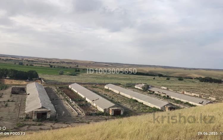 Промбаза · 409 га, Алмалы 147 — ВДХР Алмалы за 99 млн 〒 в Талдыкоргане — фото 42