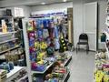Магазины и бутики · 70.6 м² за 38 млн ₸ в Усть-Каменогорске — фото 12