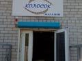 Магазины и бутики · 48 м² за 23 млн ₸ в Усть-Каменогорске, Меновное