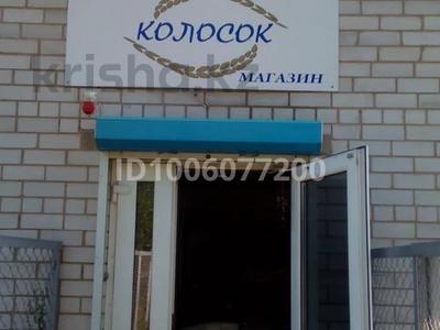 Магазины и бутики · 48 м² за 23 млн ₸ в Усть-Каменогорске, Меновное