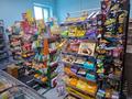 Магазины и бутики · 71 м² за 700 000 ₸ в Астане, Сарайшык р-н — фото 11