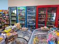 Магазины и бутики · 71 м² за 700 000 ₸ в Астане, Сарайшык р-н — фото 15