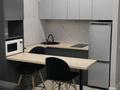 1-комнатная квартира · 28 м² · 10/10 этаж, Сейфуллина 51 за 200 000 ₸ в Алматы, Турксибский р-н