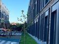2-комнатная квартира · 76.2 м² · 3/4 этаж, мкр Ак Шагала, Мкр. Ак Шагала 7 за 45 млн ₸ в Атырау — фото 2