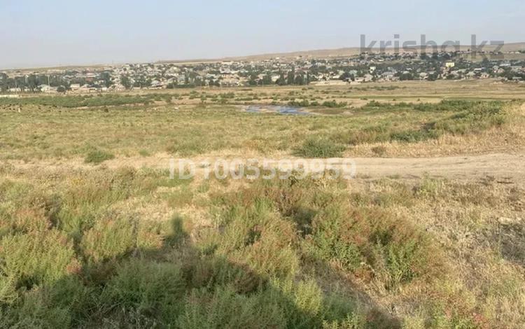 Жер телімі · 270 га, Түркістан, бағасы: 9 млн ₸ в Туркестане — фото 6