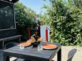 Дача · 2 комнаты · 50 м² · 4.62 сот., 1-й микрорайон, СО Весна 466 за 50 млн 〒 в Костанае — фото 7