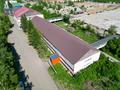 Свободное назначение, офисы · 5695.7 м² за ~ 3.1 млрд ₸ в Усть-Каменогорске — фото 6