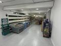 Свободное назначение, магазины и бутики, склады, азс, автосервисы и автомойки, салоны красоты, сельское хозяйство, медцентры и аптеки, образование, развлечения · 114 м² за 91.2 млн ₸ в Астане, Есильский р-н — фото 7