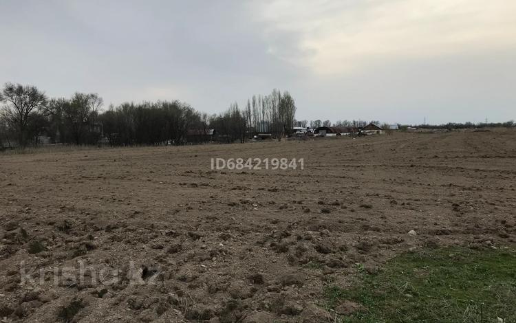 Участок · 5 га, Кайнар за 130 млн 〒 — фото 7