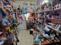 Магазины и бутики • 65.7 м² за 43 млн 〒 в Алматы, Алатауский р-н — фото 7