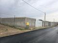 Участок · 8 соток, мкр Ынтымак-2 14 за 17.5 млн ₸ в Шымкенте, Абайский р-н — фото 7
