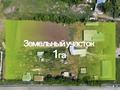 Участок · 1 га, Толе би 24 за 250 млн ₸ в Жалтырколе