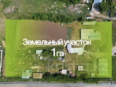 Участок · 1 га, Толе би 24 за 250 млн ₸ в Жалтырколе