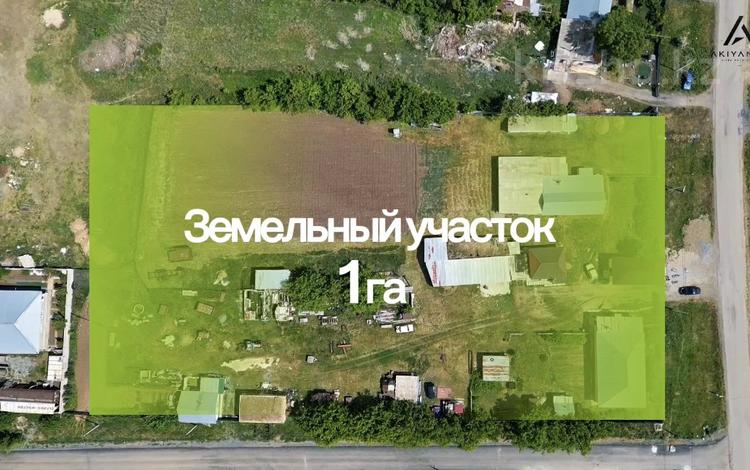 Участок · 1 га, Толе би 24 за 250 млн ₸ в Жалтырколе — фото 2