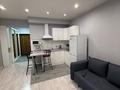 1-комнатная квартира · 30 м² · 5/13 этаж, Майлина 54 за 250 000 ₸ в Алматы, Турксибский р-н — фото 3