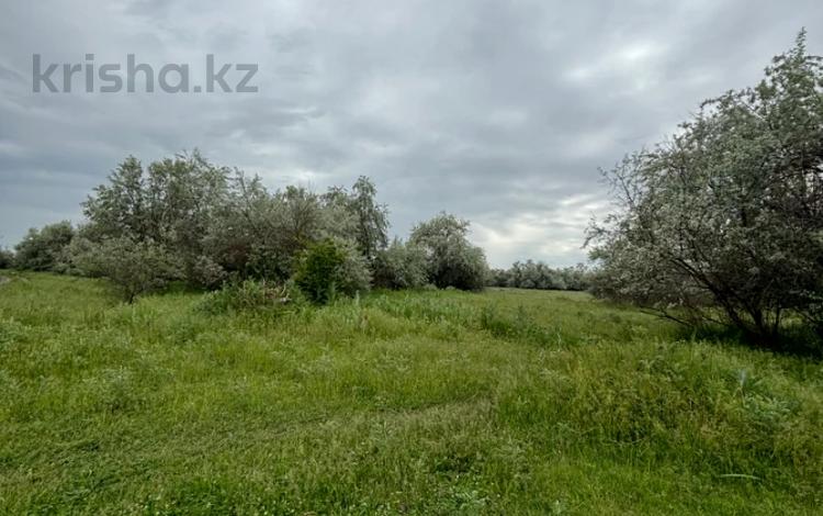 Участок · 10 га, Алматинская обл. за 52 млн 〒 — фото 2