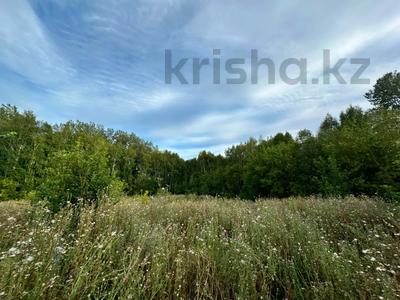 Жер телімі · 15 сотық, Черногорка, бағасы: ~ 3 млн ₸ в Глубокое