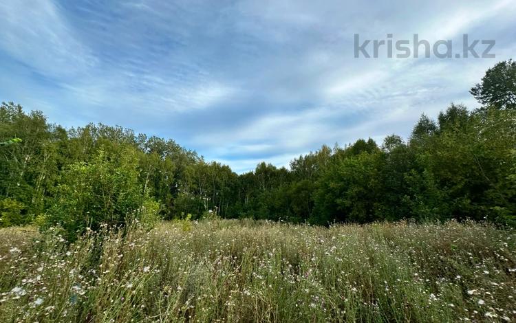 Жер телімі · 15 сотық, Черногорка, бағасы: ~ 3 млн ₸ в Глубокое — фото 16