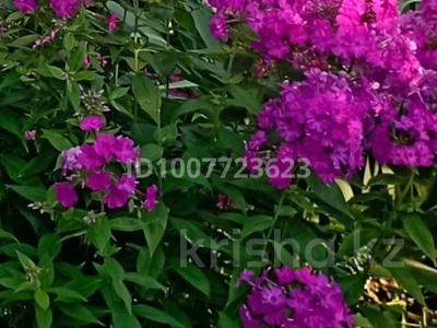 Жеке үй · 3 бөлме · 67 м² · 7 жүзд., Восточный левый на Развилке, бағасы: 17 млн ₸ в Семее