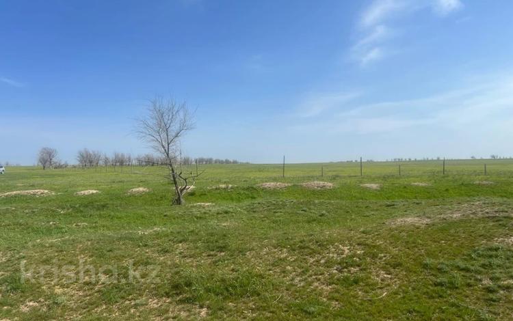 Жер телімі · 140 га, Караой КХ — КХ, бағасы: 363.9 млн ₸ — фото 2