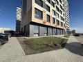 Еркін · 110 м², бағасы: 650 000 ₸ в Астане, Нура р-н