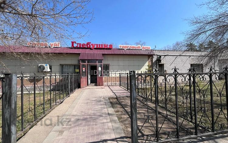 Дүкендер мен бутиктер · 2470 м², бағасы: 30 млн ₸ в Мичурино — фото 2