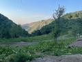 Участок · 21 сотка, Бескайнар (Горный Садовод) за 10 млн ₸ — фото 3
