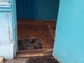 Отдельный дом · 4 комнаты · 65 м² · 10.4 сот., Ленина за 21 млн ₸ в Затобольске (Тобыле) — фото 16