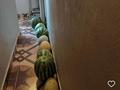 3-бөлмелі пәтер · 71.1 м² · 4/9 қабат, мкр Карасу 14, бағасы: 40 млн ₸ в Шымкенте, Аль-Фарабийский р-н — фото 9