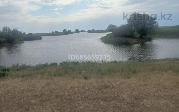 Жер телімі · 620 га, Чапаев, бағасы: 20 млн ₸ — фото 2