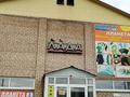 Магазины и бутики · 1200 м² за 157 млн ₸ в Булаеве — фото 19