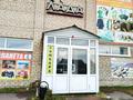 Магазины и бутики · 1200 м² за 157 млн ₸ в Булаеве — фото 6