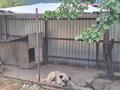 Жеке үй · 5 бөлме · 140 м² · 10 жүзд., Жакан сабалакова 13 — Район нового роддома. сулейманова за старым облгай, бағасы: 39 млн ₸ в Таразе — фото 24