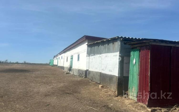 Сельское хозяйство · 760 м² за 200 млн ₸ в  — фото 13