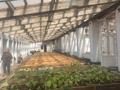 Сельское хозяйство · 760 м² за 200 млн ₸ в  — фото 39