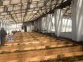 Сельское хозяйство · 760 м² за 200 млн ₸ в  — фото 43