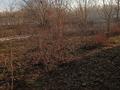 Отдельный дом · 4 комнаты · 200 м² · 20 сот., Ленина — Район пос. Радужный за 50 млн ₸ в Усть-Каменогорске — фото 3
