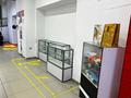 Магазины и бутики · 20 м² за 120 000 ₸ в Алматы, Алмалинский р-н — фото 5