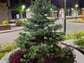 3-бөлмелі пәтер · 130 м² · 2/8 қабат, мкр Нурсат, Торекулова 15 — Кунаева, бағасы: 93 млн ₸ в Шымкенте, Каратауский р-н — фото 6