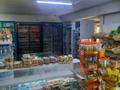 Готовый бизнес Мини маркет · 70 м² за 13 млн ₸ в Алматы, Наурызбайский р-н — фото 10