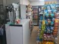 Готовый бизнес Мини маркет · 70 м² за 13 млн ₸ в Алматы, Наурызбайский р-н — фото 7