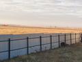Свободное назначение, сельское хозяйство · 300 м² за 75 млн 〒 в Костанае — фото 20