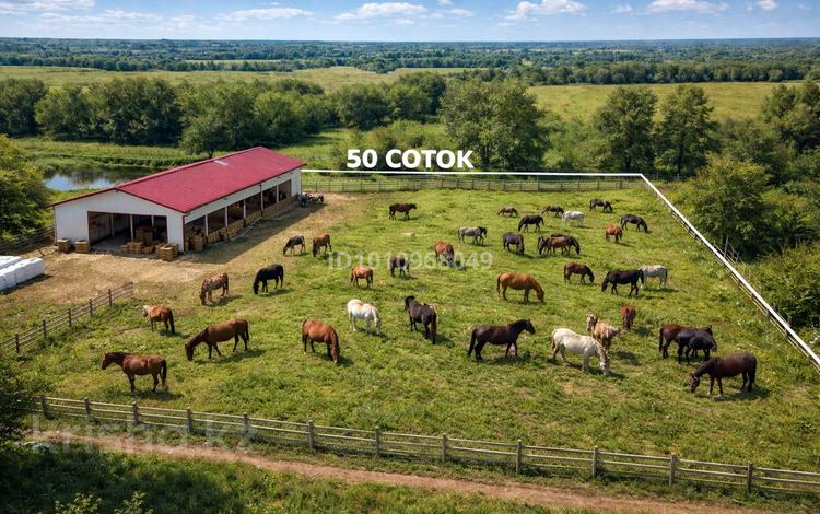 Жер телімі · 50 сотық, Исаев, бағасы: 5 млн ₸ в Исаеве — фото 2