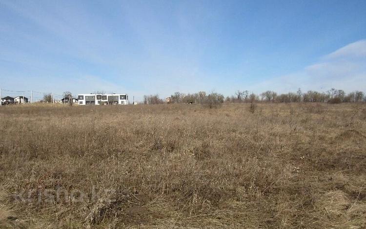 Участок · 1 га, Агынтай Батыра 2 за 15 млн ₸ в Прибрежное — фото 2